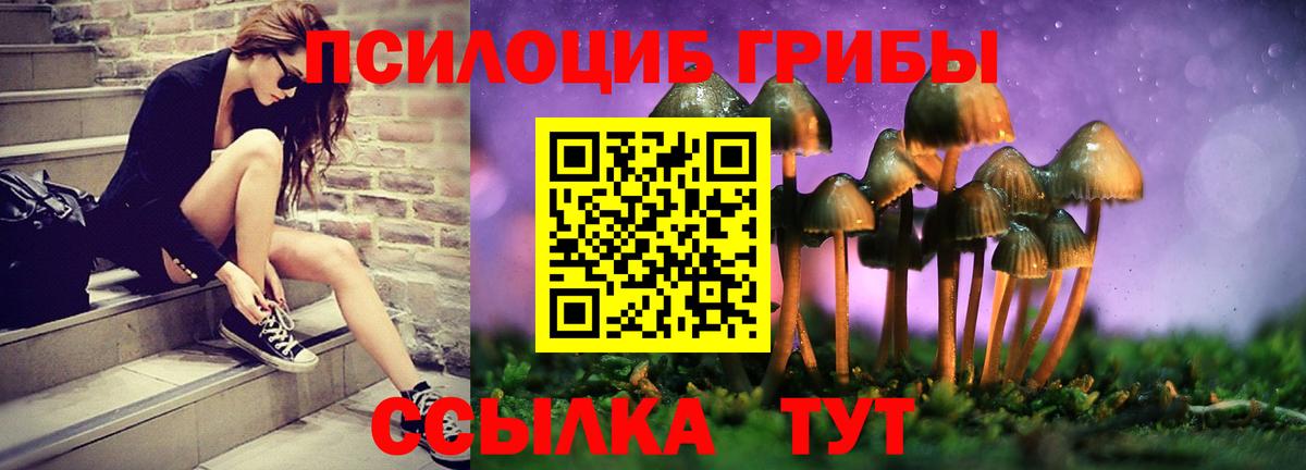 Урюпинск  Галлюциногенные грибы ЛСД  Вход с VPN 
